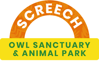 Screech Owl Sanctuary & Animal Park